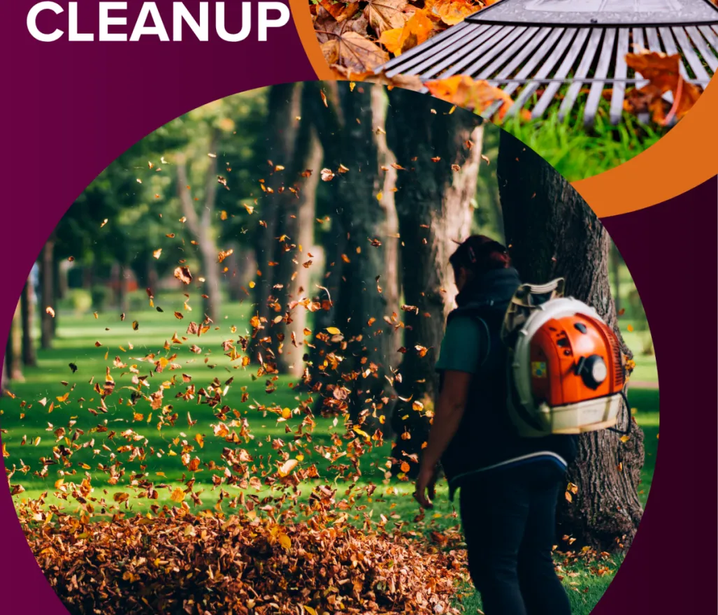 Staples Lawn Care property cleanup, leaf and flowerbed clearing
